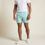 Calvi Stripe Swim Shorts