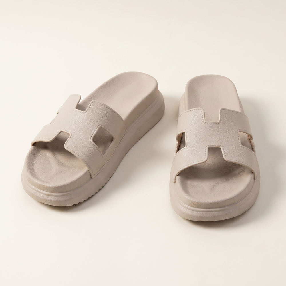 Noemi Platform Slides