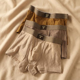 Aurelian Diamond Trunks