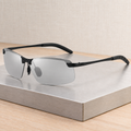 Black (Polarized)