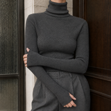 Angelique-Jane Turtleneck Sweater - Dark Gray
