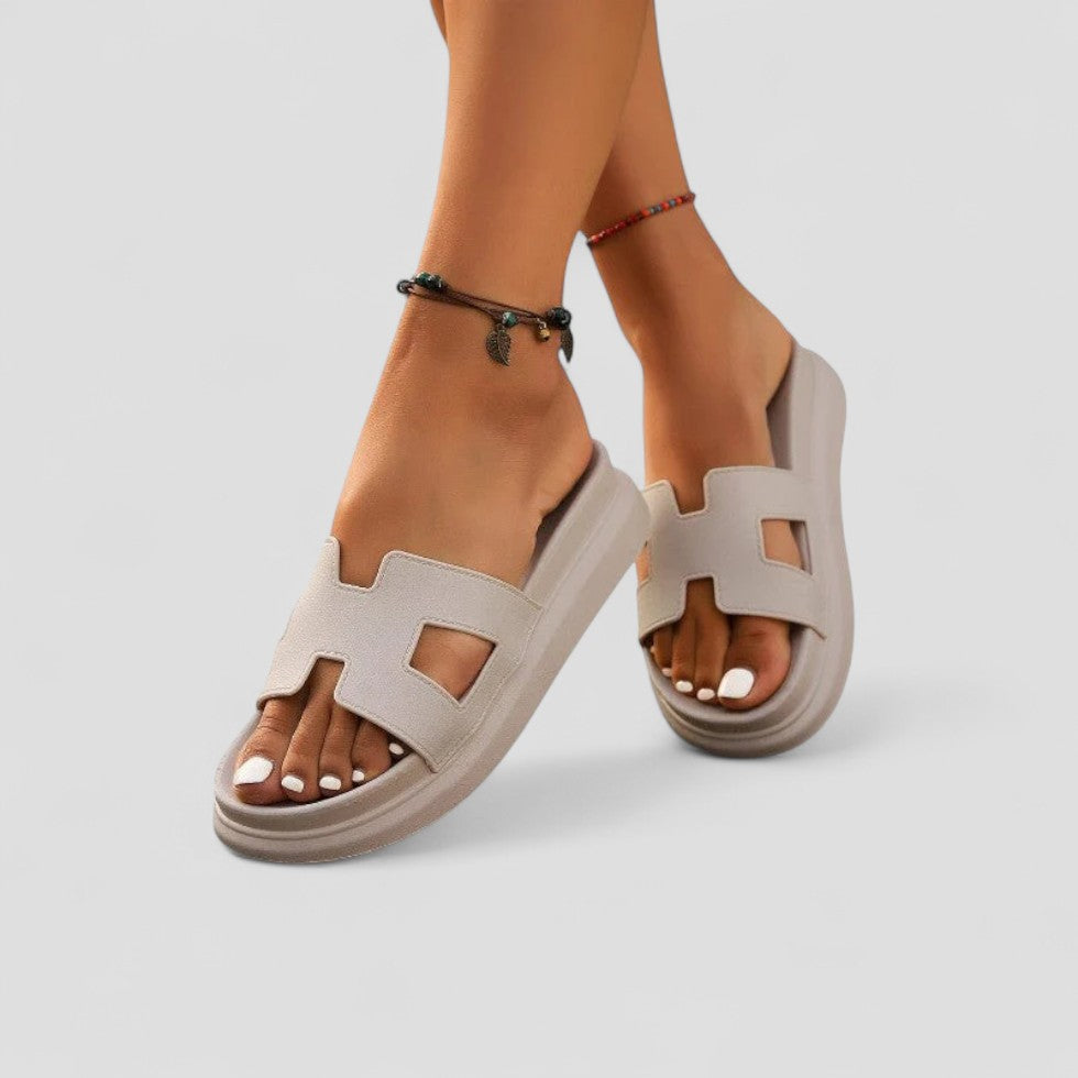 Noemi Platform Slides