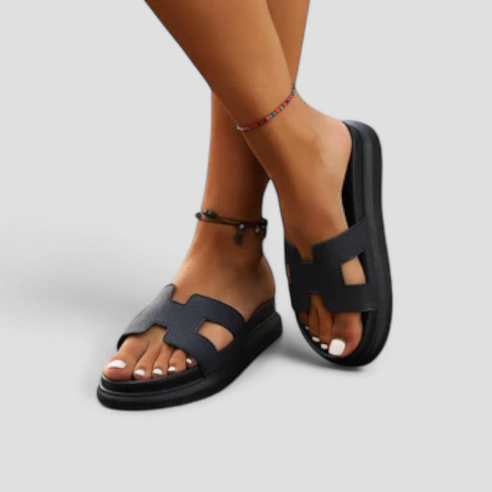 Noemi Platform Slides