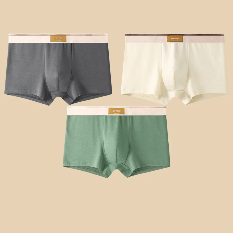 Calder Boxer Brief Set