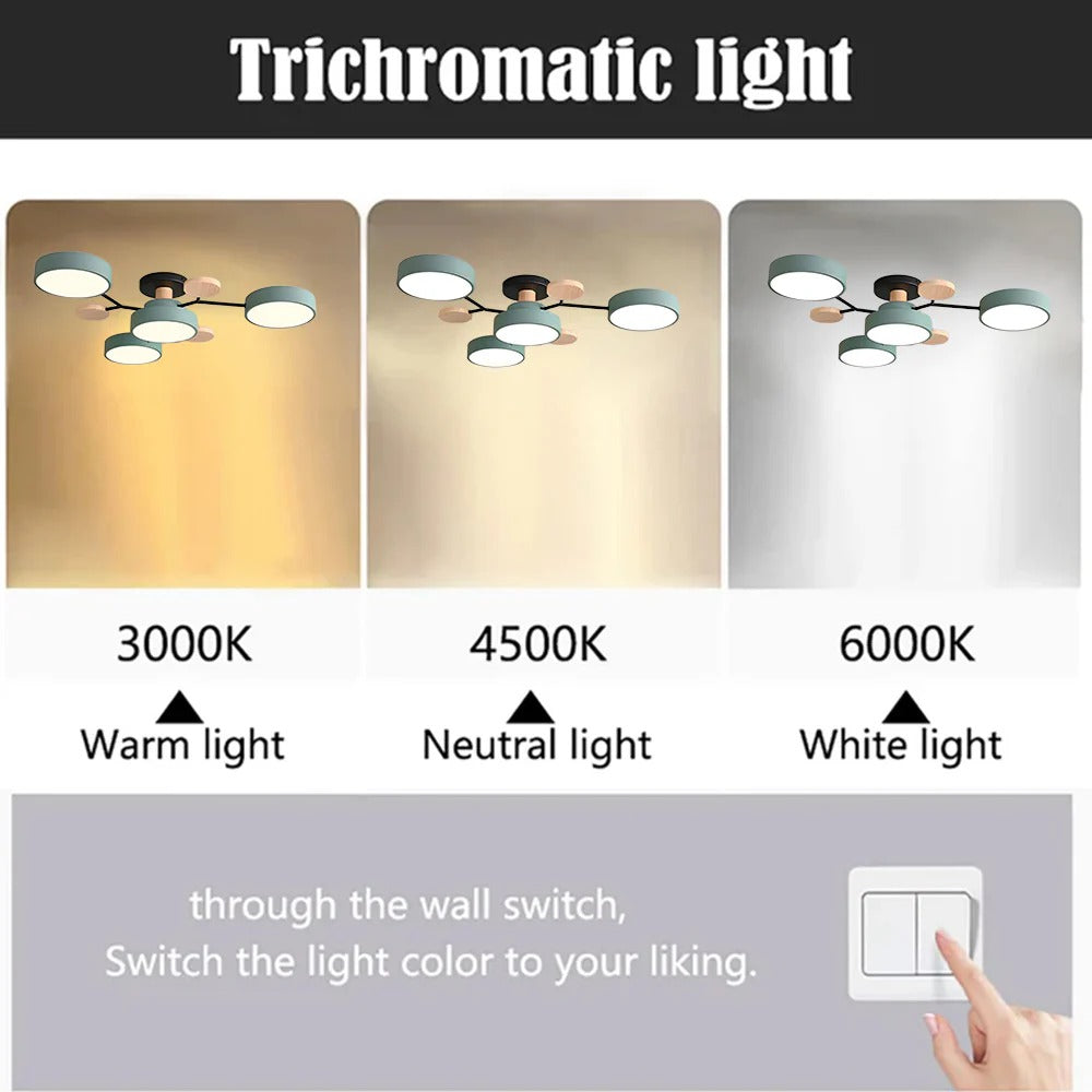 Aurora Ceiling Light