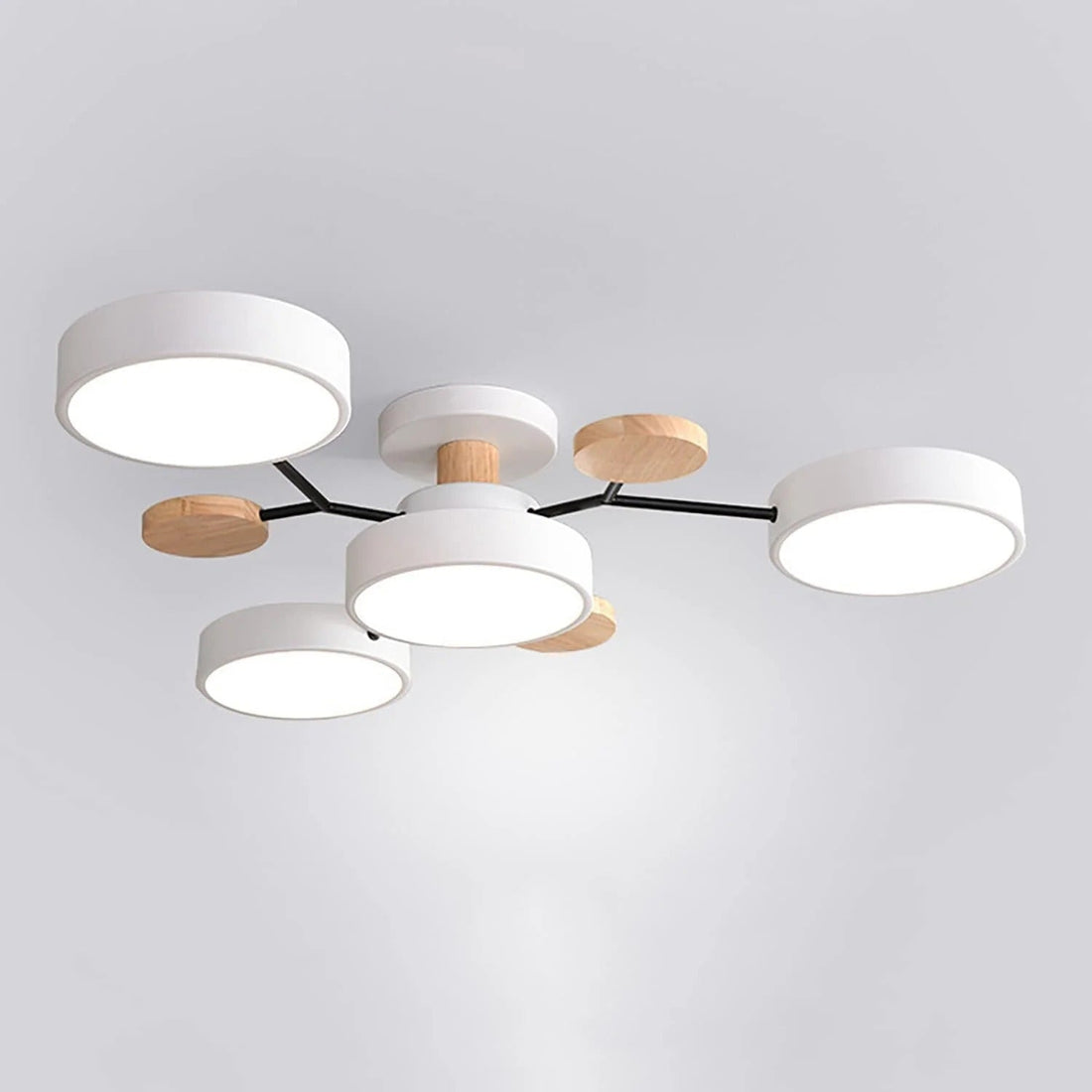 Aurora Ceiling Light