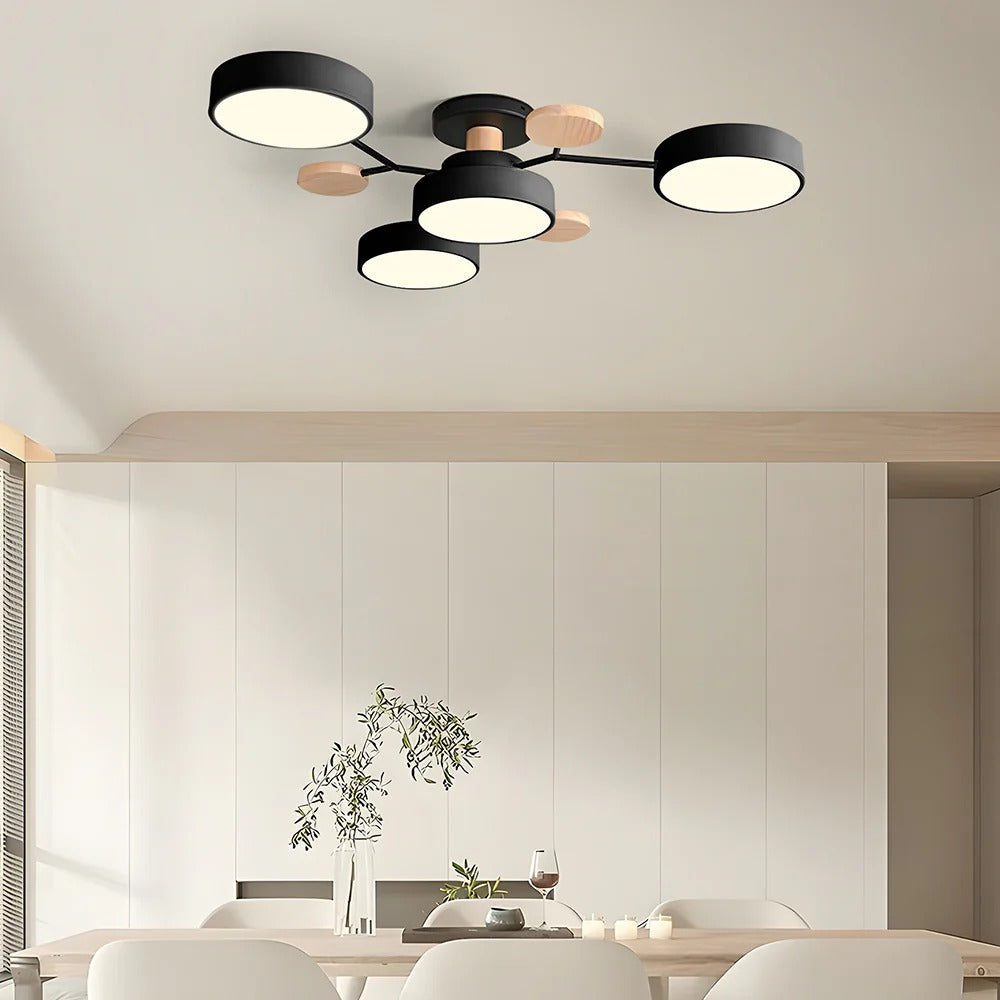 Aurora Ceiling Light