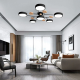 Aurora Ceiling Light